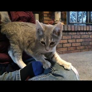 Meet your Posher, Carly